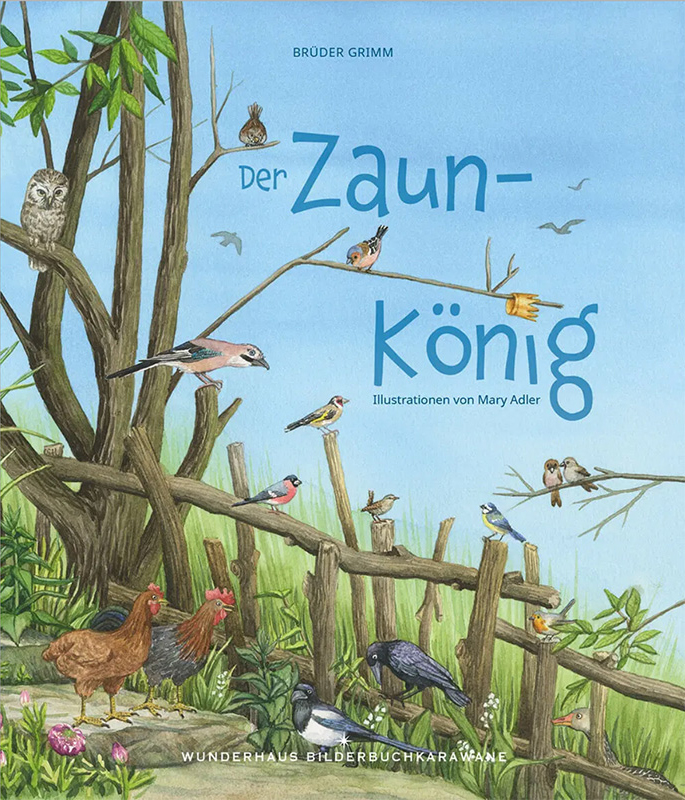 Illustrationen und Zeichnungen in Aquarell für das Buch Der Zaunkönig.